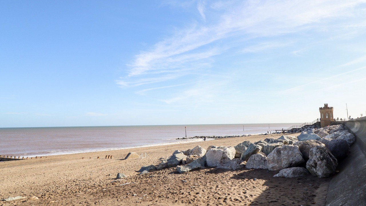 Photo of Others in Roos