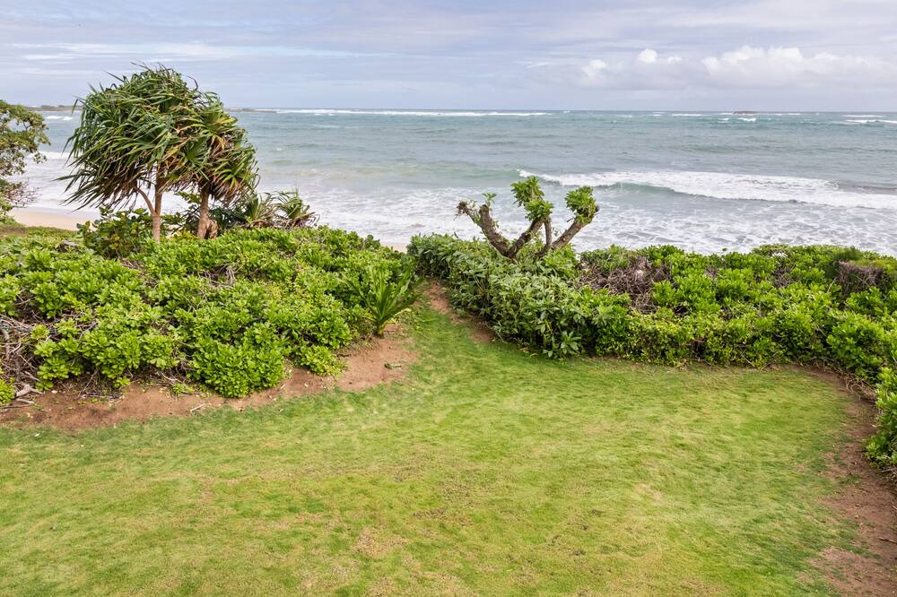 Photo of Others in Kahuku