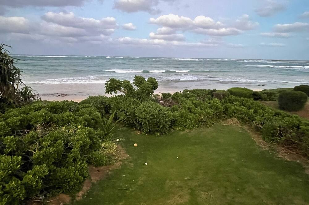 Photo of Others in Kahuku