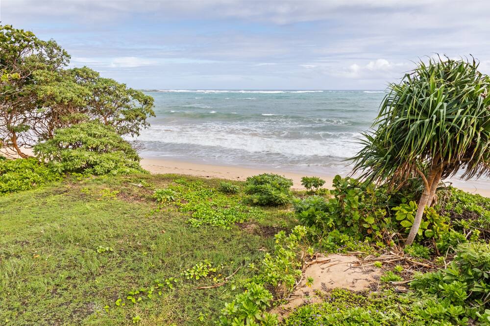 Photo of Others in Kahuku