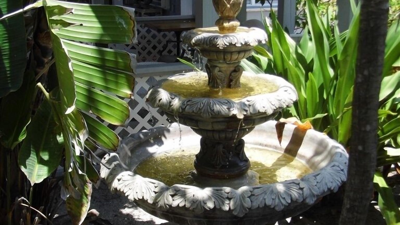 Photo of Outdoor in Pass-a-Grille