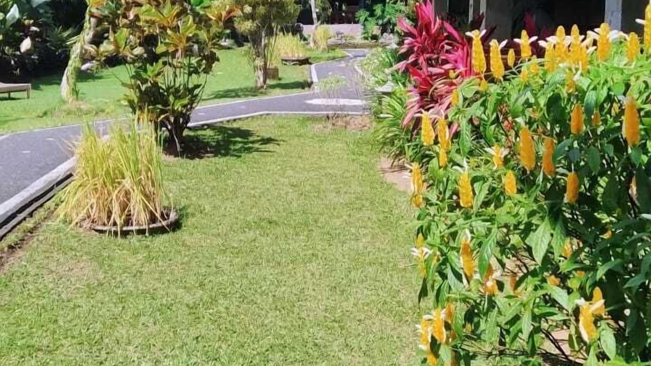 Photo of Outdoor in Pengosekan