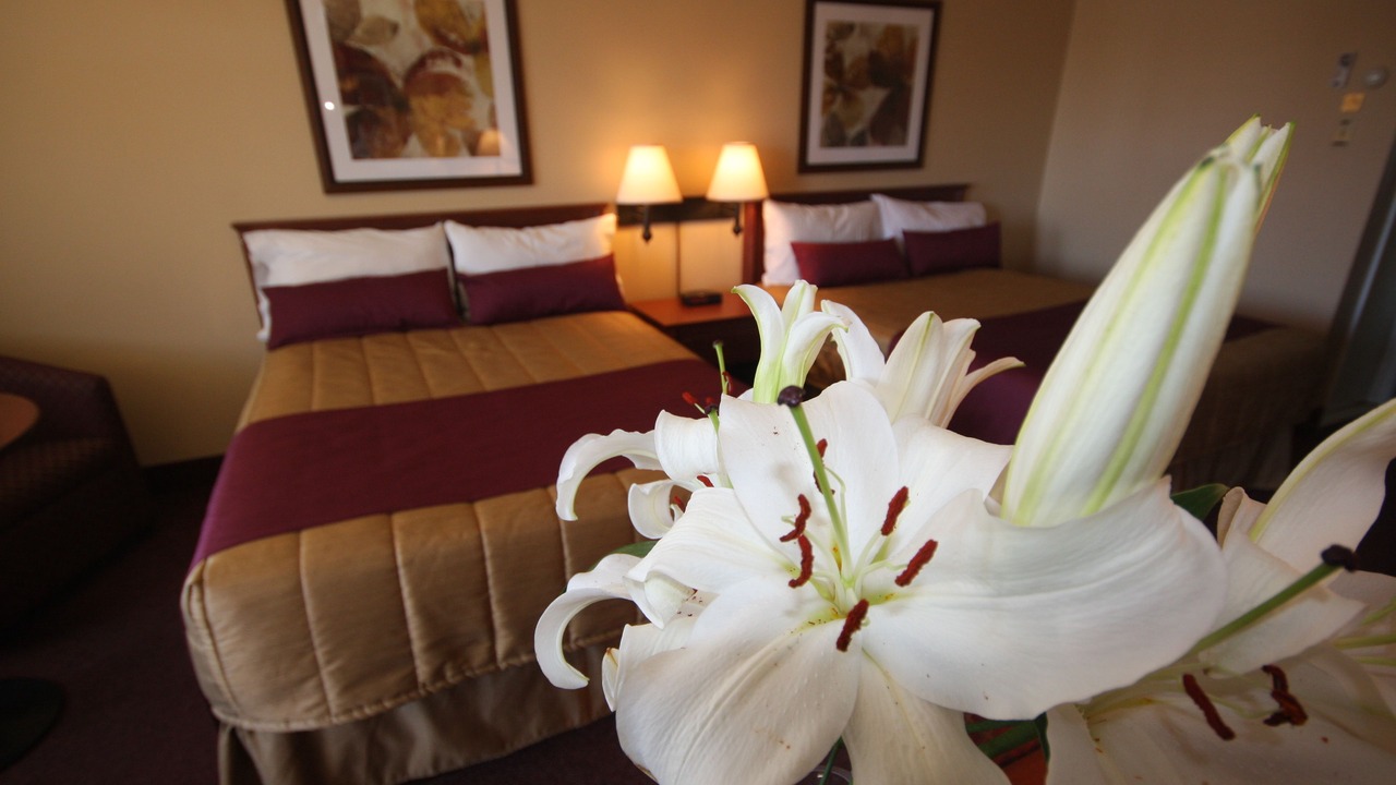 Photo of Bedroom in Downtown Gatineau