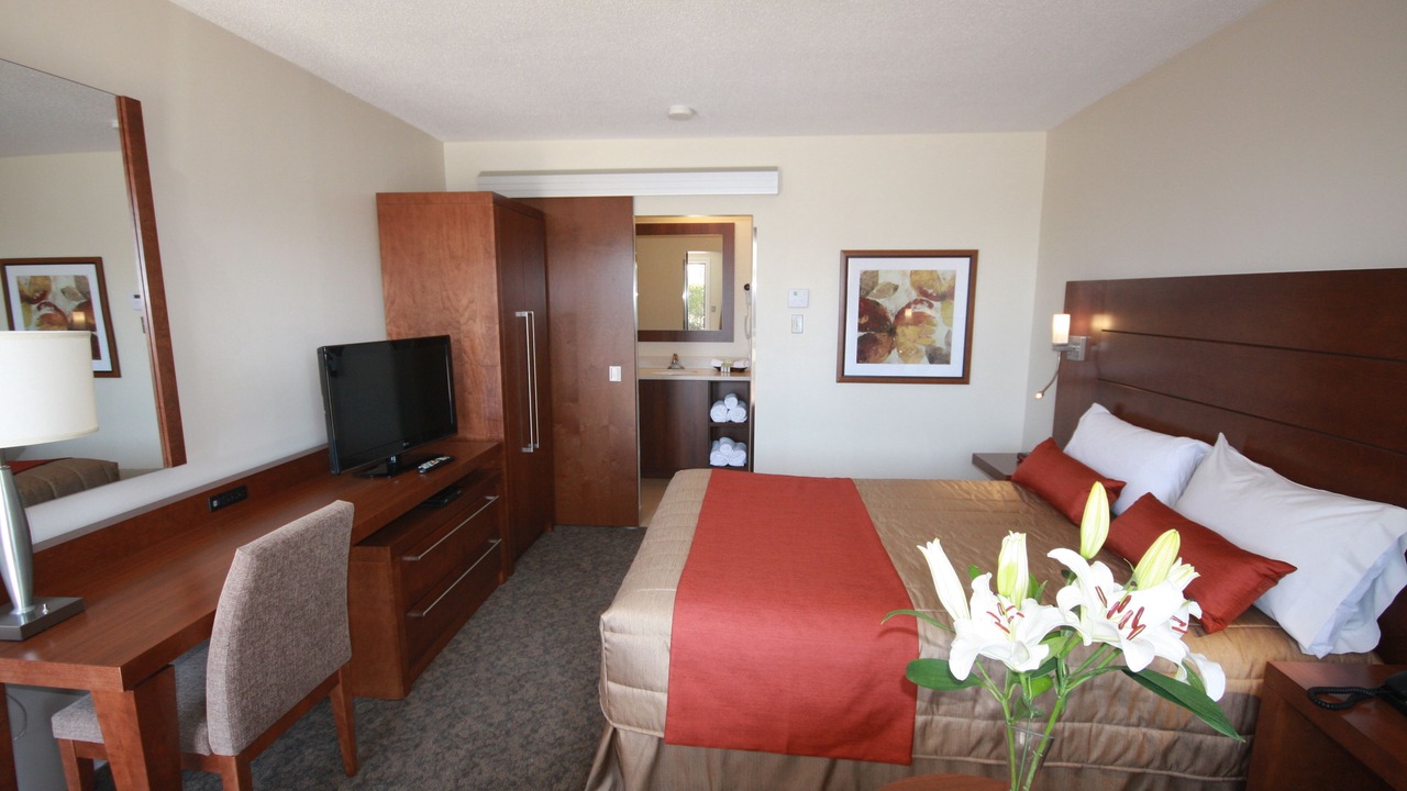 Photo of Others in Downtown Gatineau