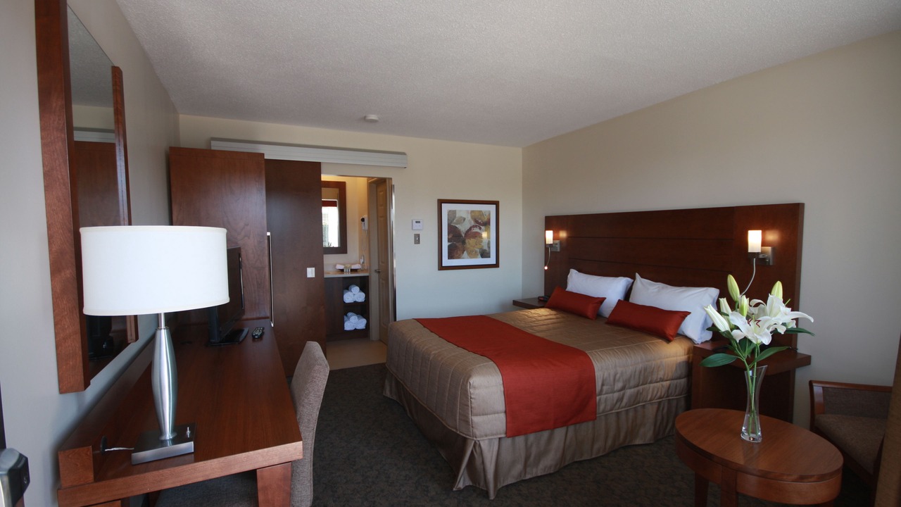 Photo of Others in Downtown Gatineau