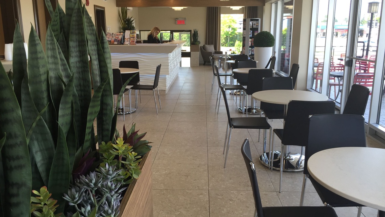 Photo of Others in Downtown Gatineau