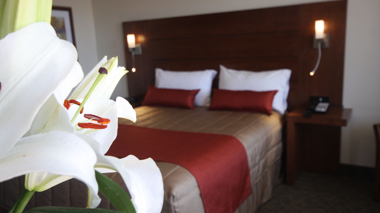 Photo of Others in Downtown Gatineau