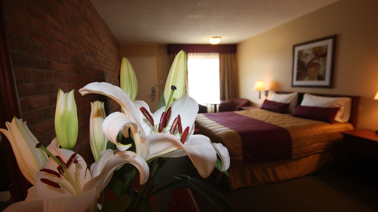 Photo of Bedroom in Downtown Gatineau