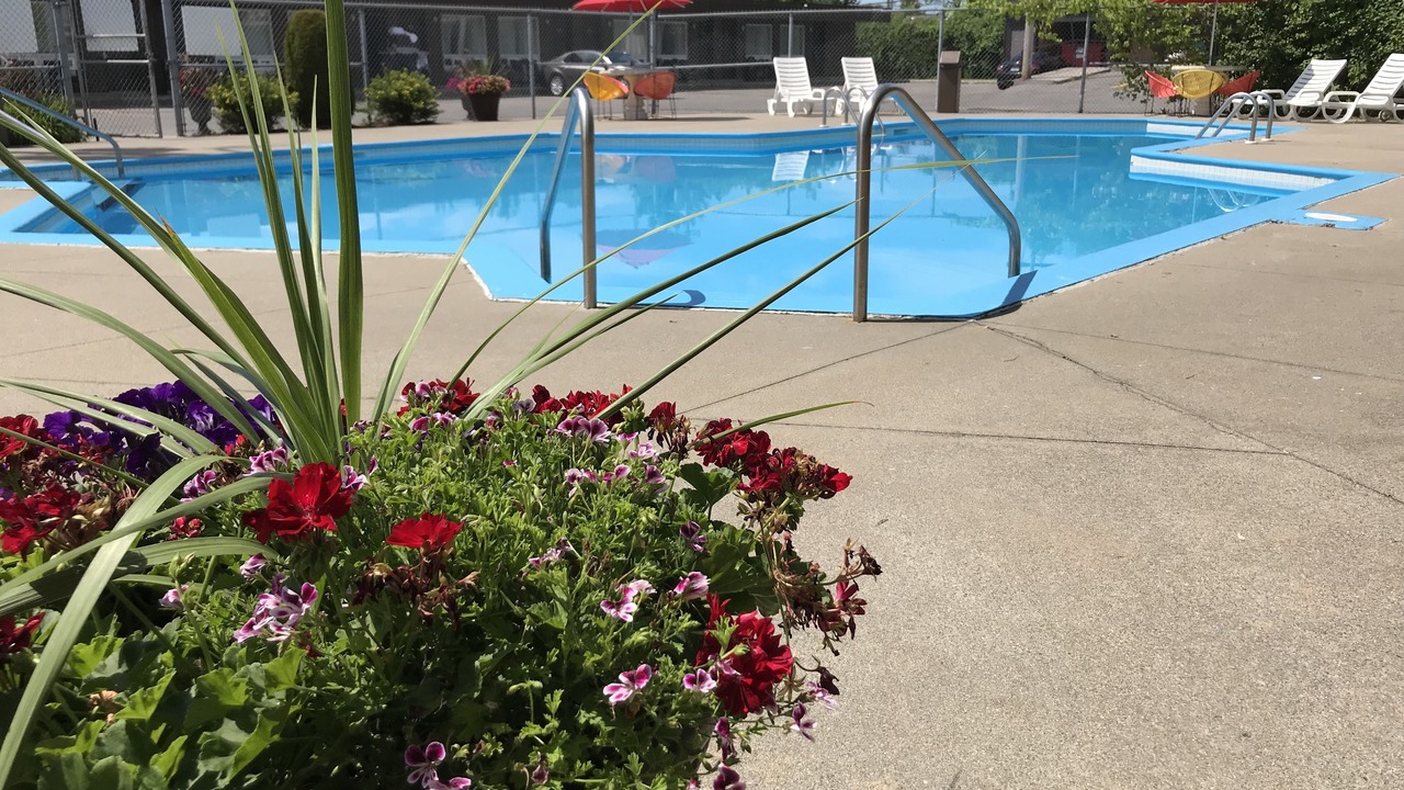 Photo of Outdoor in Downtown Gatineau