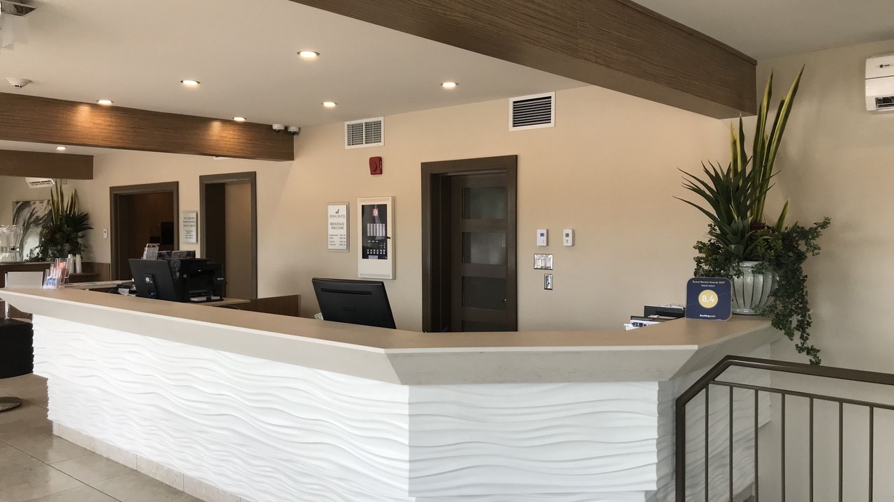 Photo of Others in Downtown Gatineau