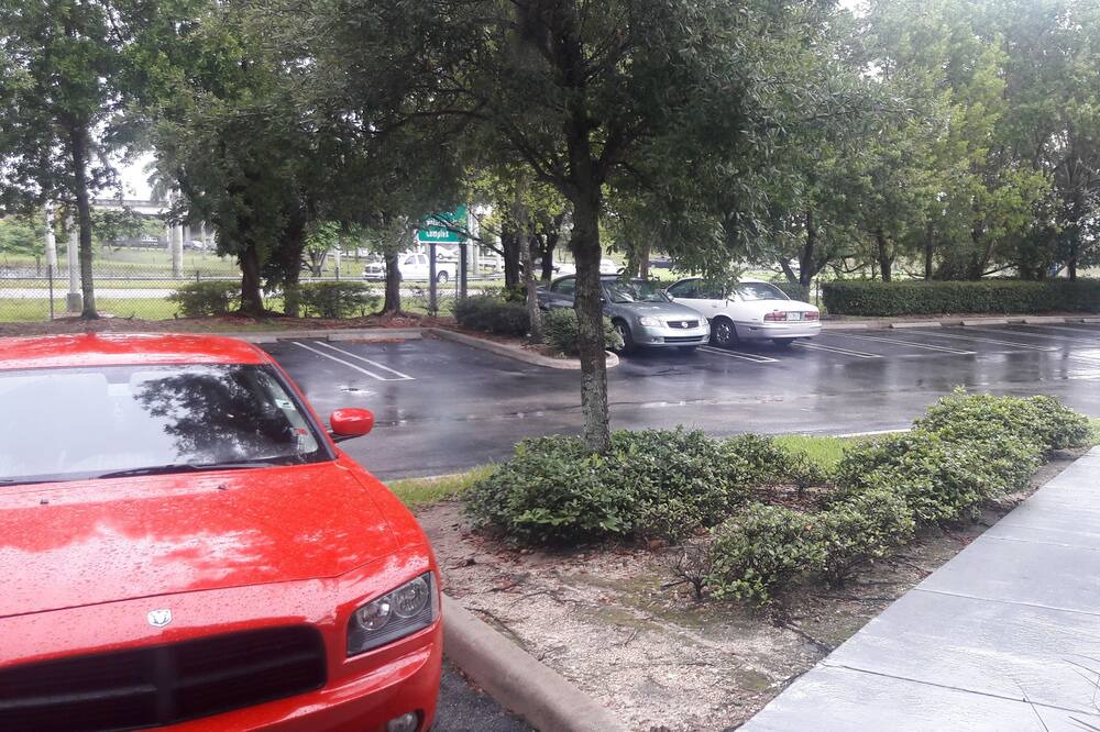 Photo of Others in Homestead