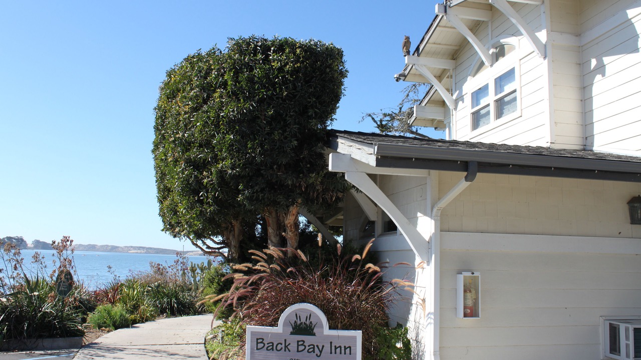 Photo of Outdoor in Baywood Park