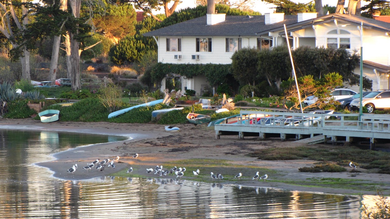 Photo of Others in Baywood Park