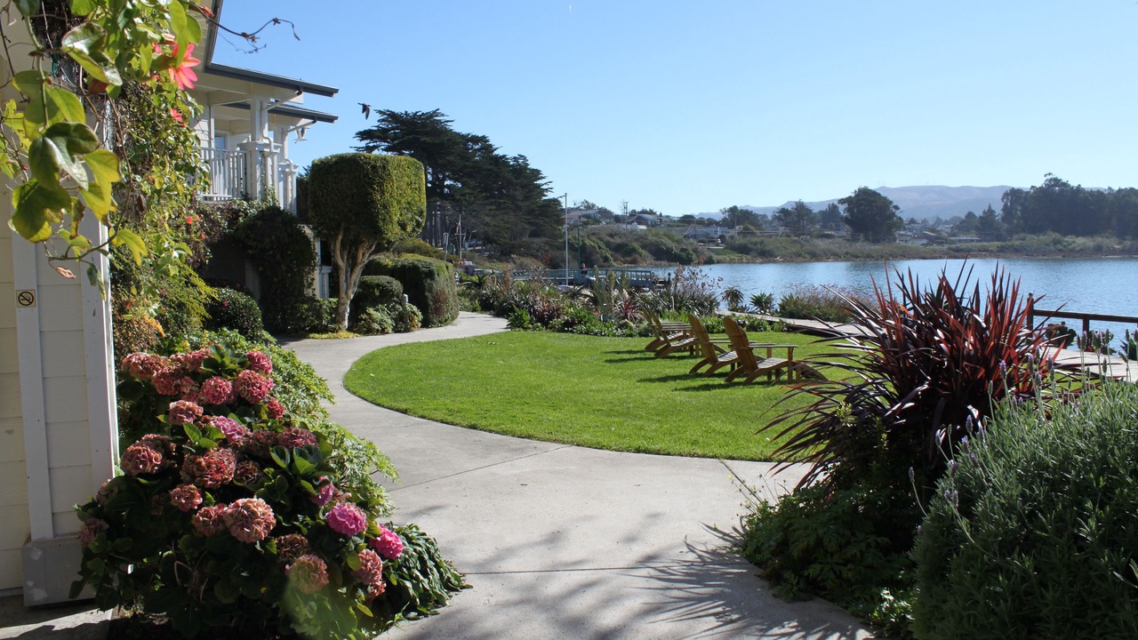 Photo of Others in Baywood Park