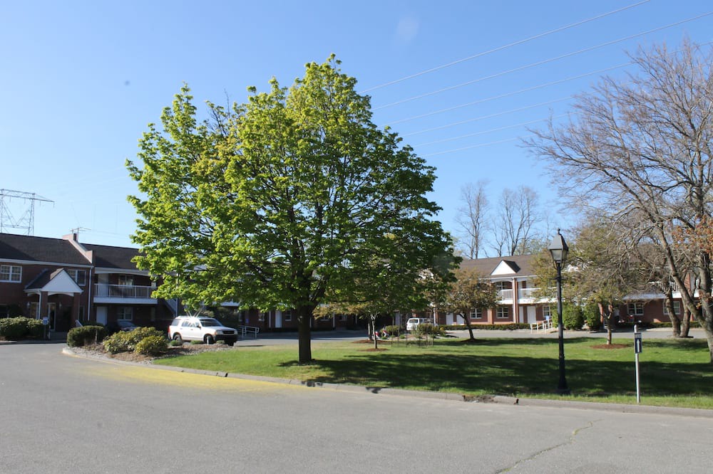 Photo of Outdoor in Salem
