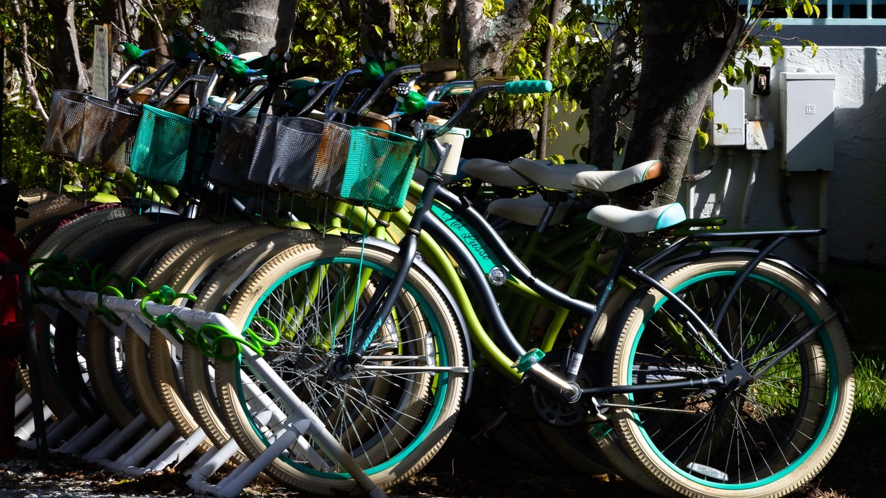 Photo of Outdoor in Holmes Beach