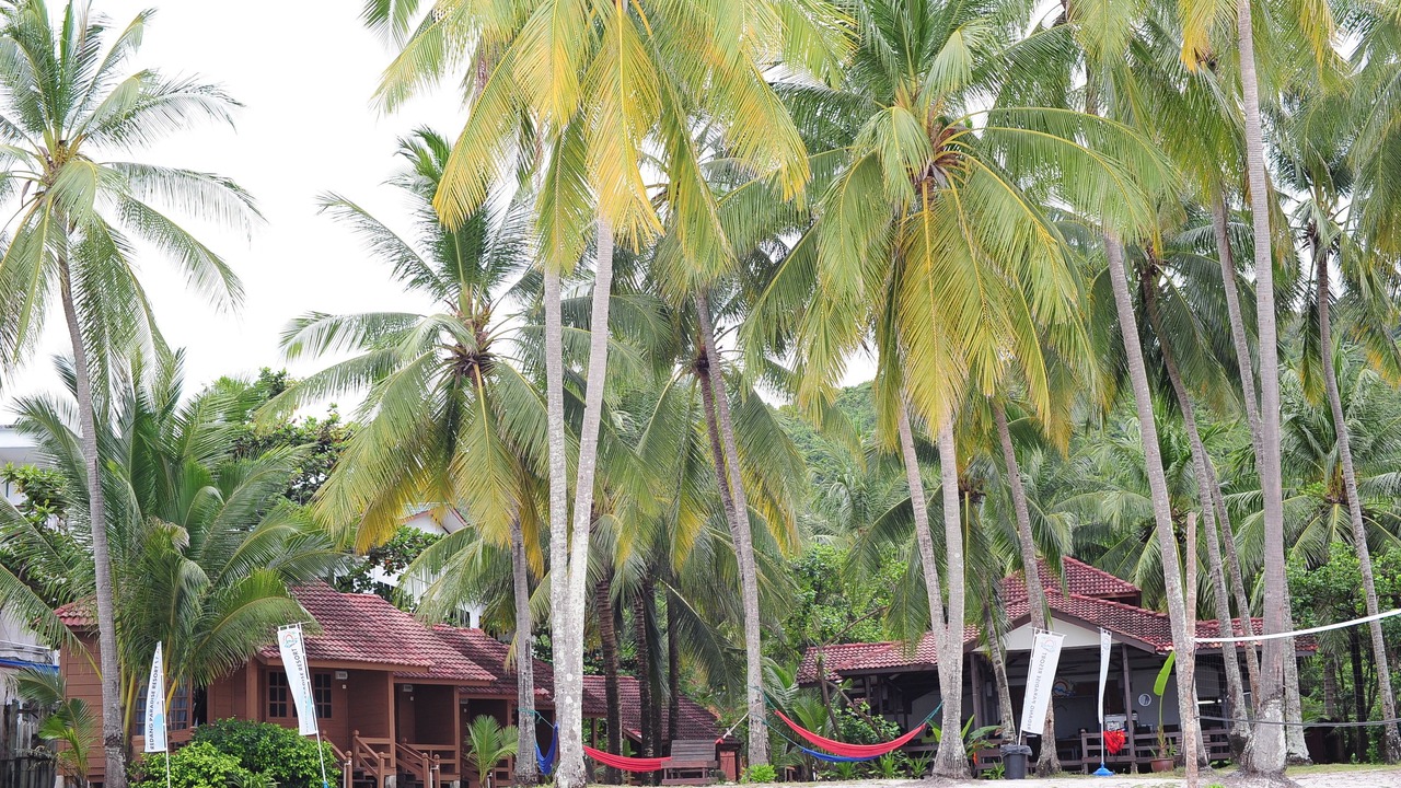 Photo of Outdoor in Redang Island