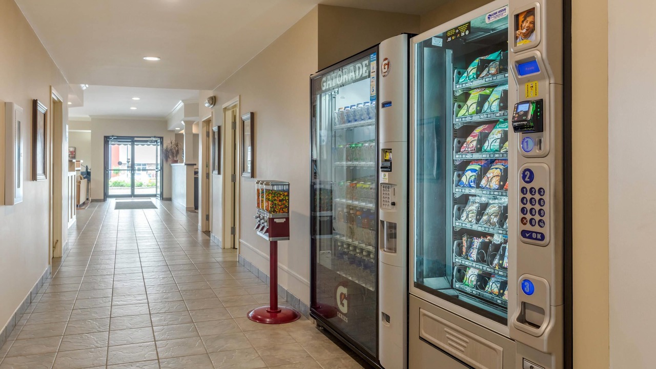 Photo of Others in Fredericton