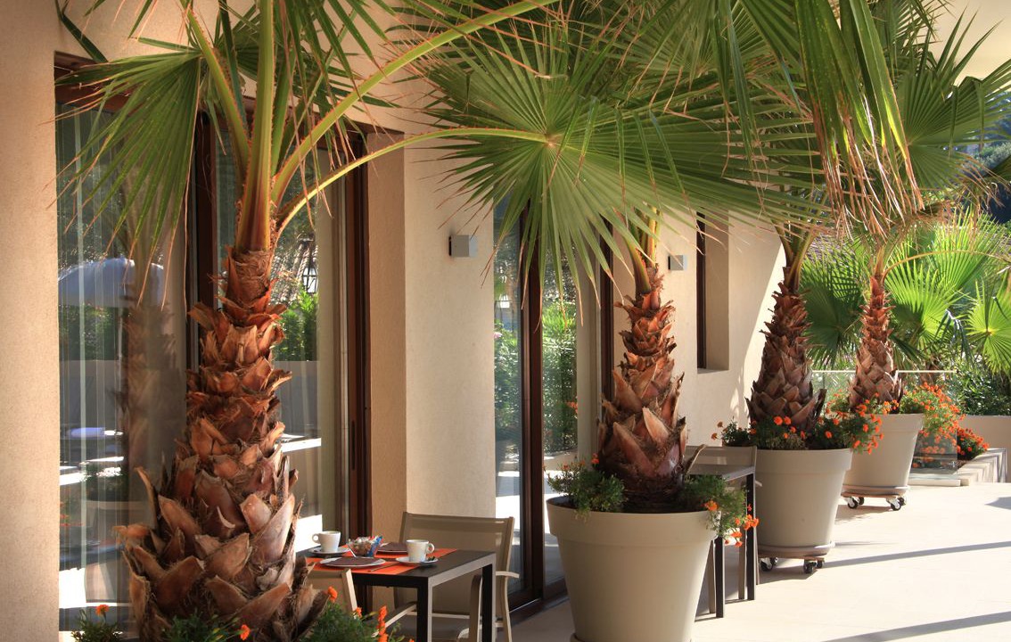 Photo of Others in Valbonne