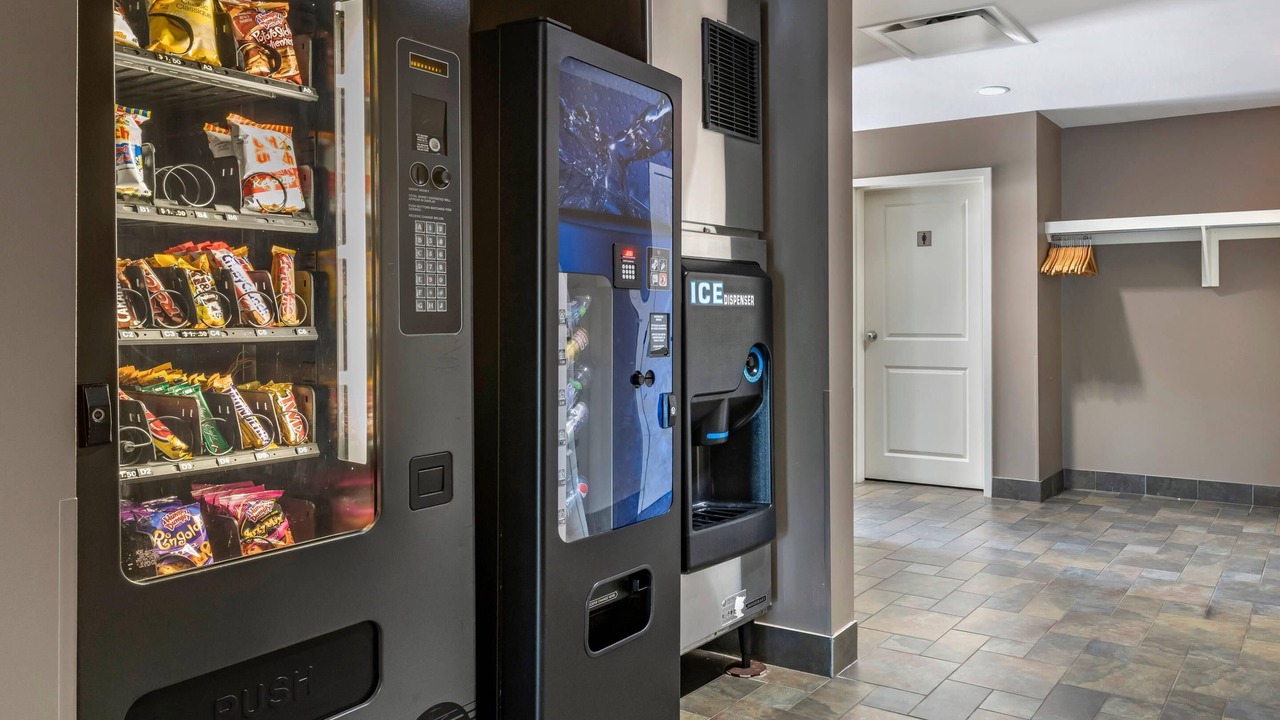 Photo of Others in Quispamsis