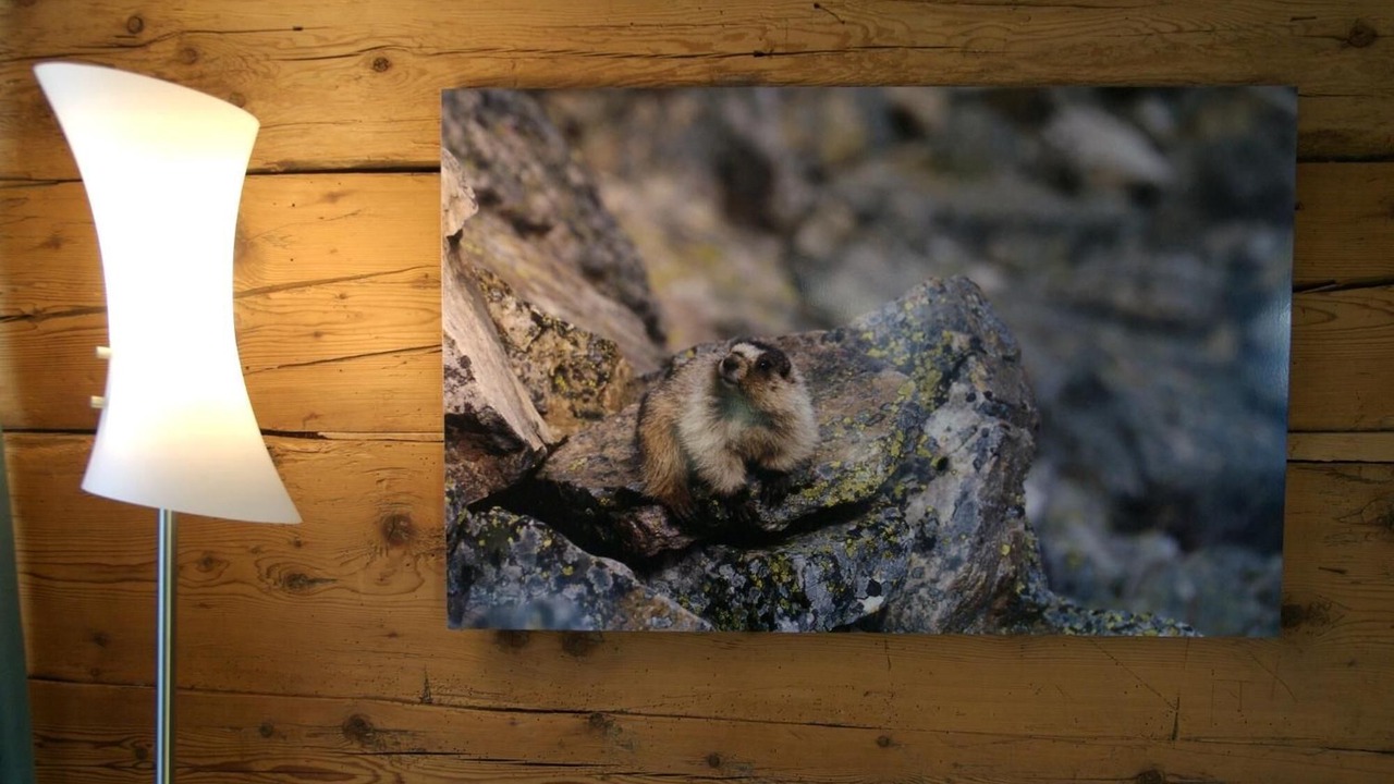 Photo of Others in Andermatt