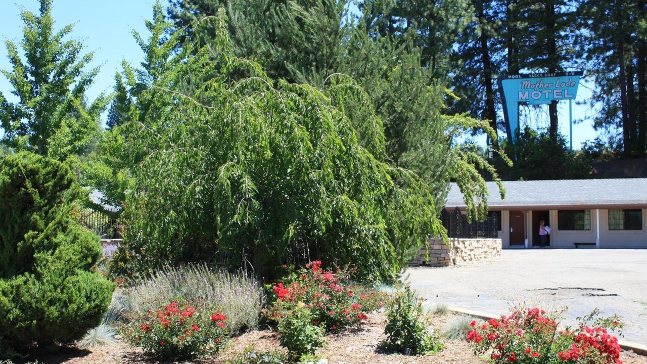 Photo of Outdoor in Apple Hill