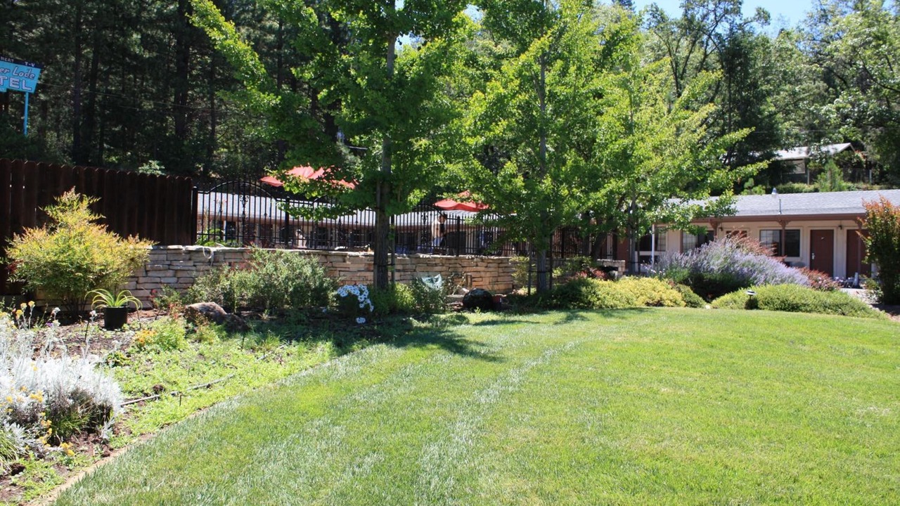Photo of Outdoor in Apple Hill