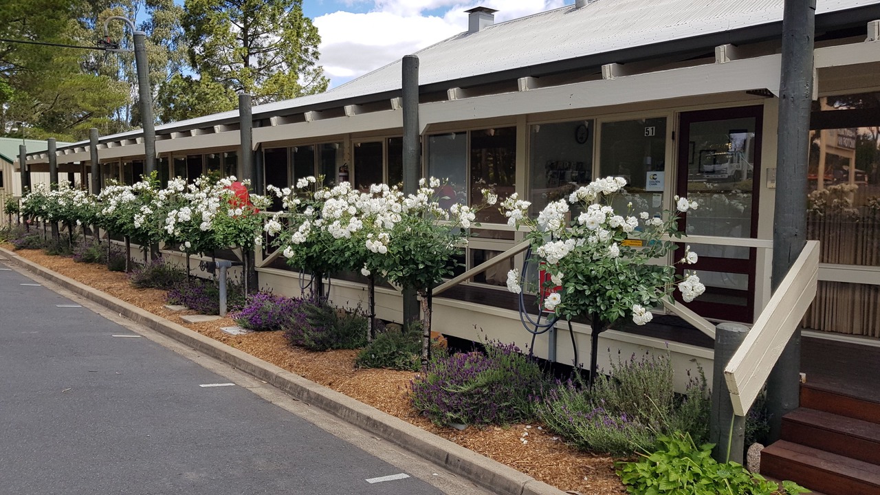 Photo of Outdoor in Beechworth