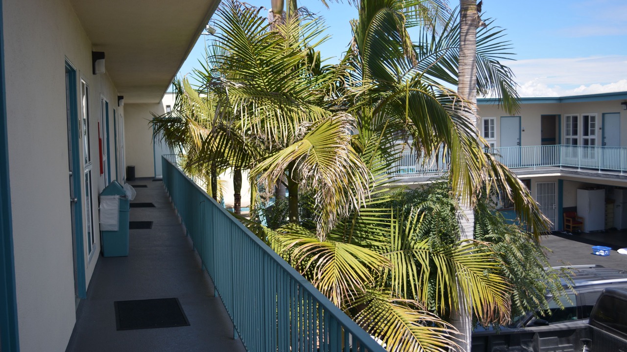 Photo of Outdoor in North Redondo