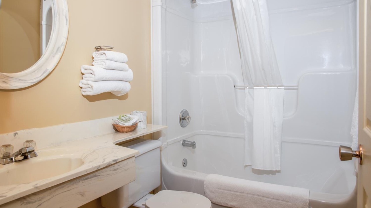 Photo of Others in Cow Head