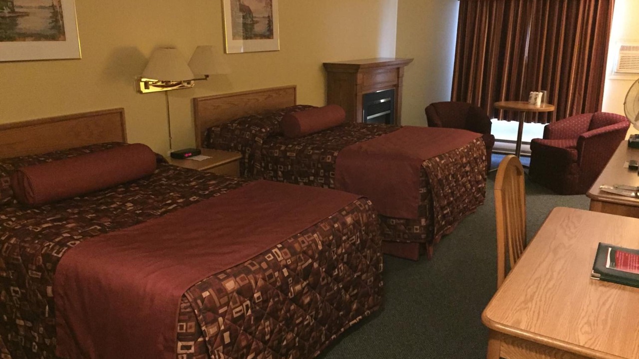 Photo of Others in Cow Head