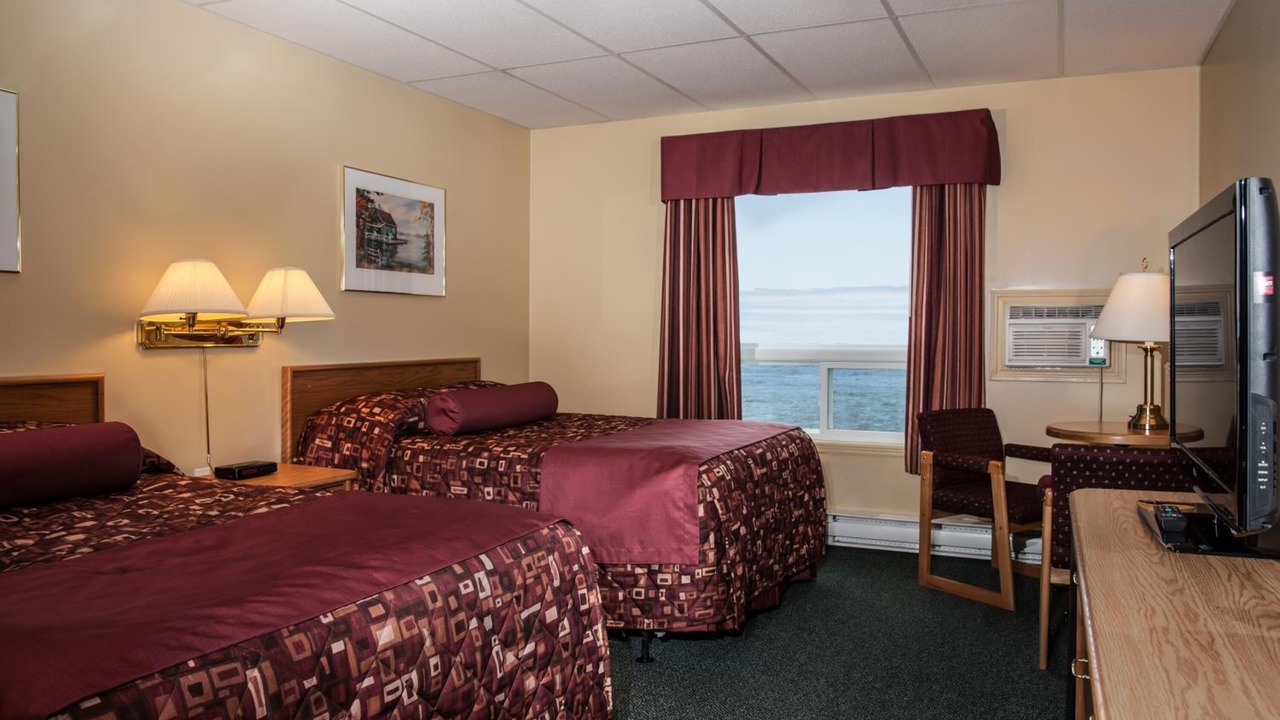 Photo of Others in Cow Head