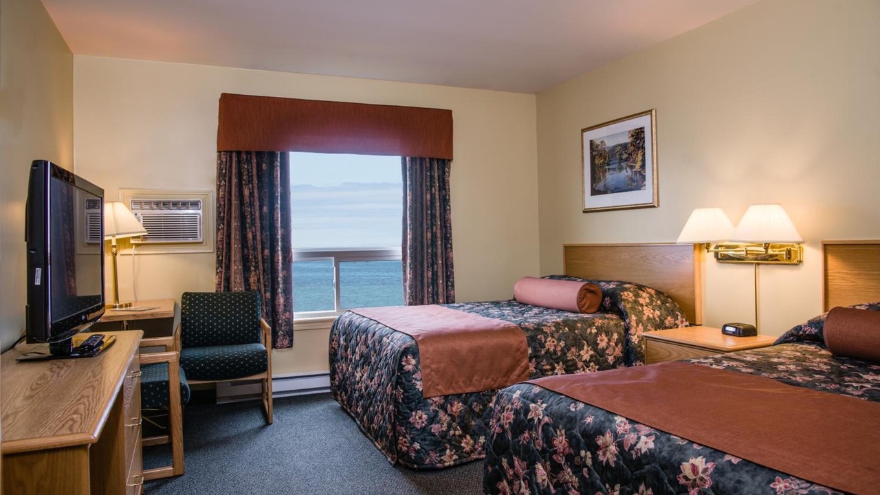 Photo of Others in Cow Head