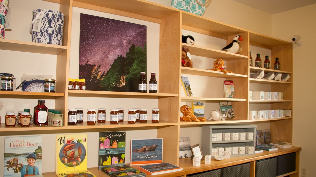 Photo of Others in Bar Harbor