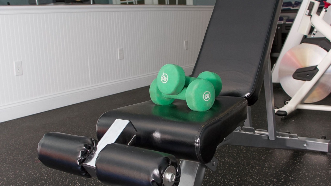 Photo of Others in Bar Harbor