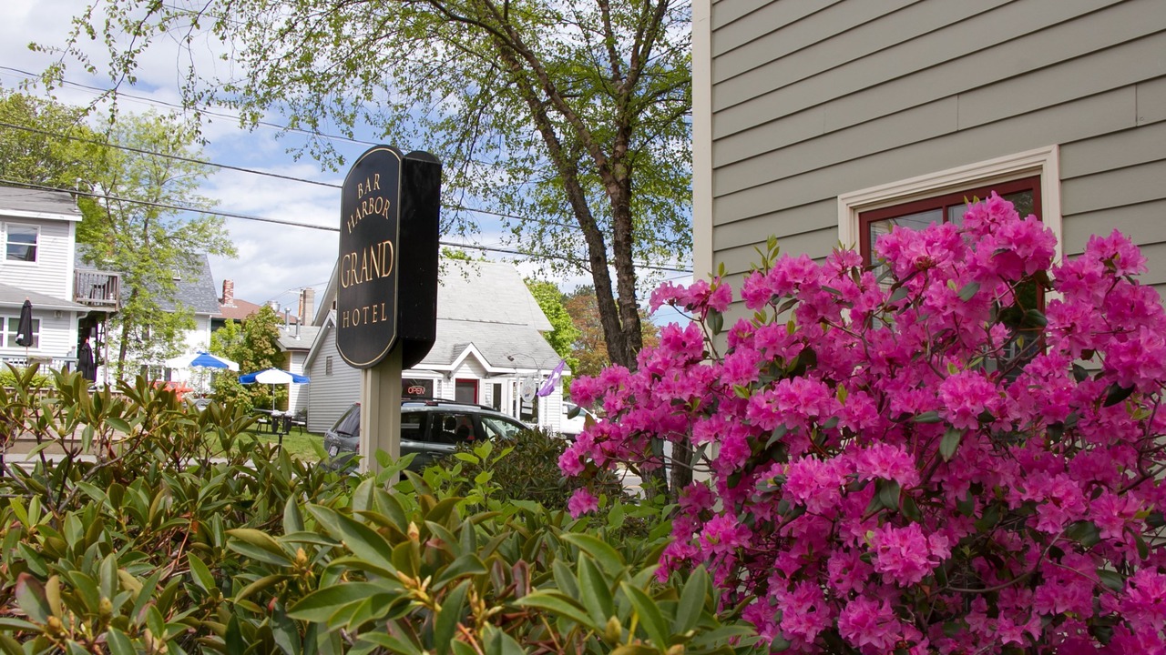 Photo of Outdoor in Bar Harbor