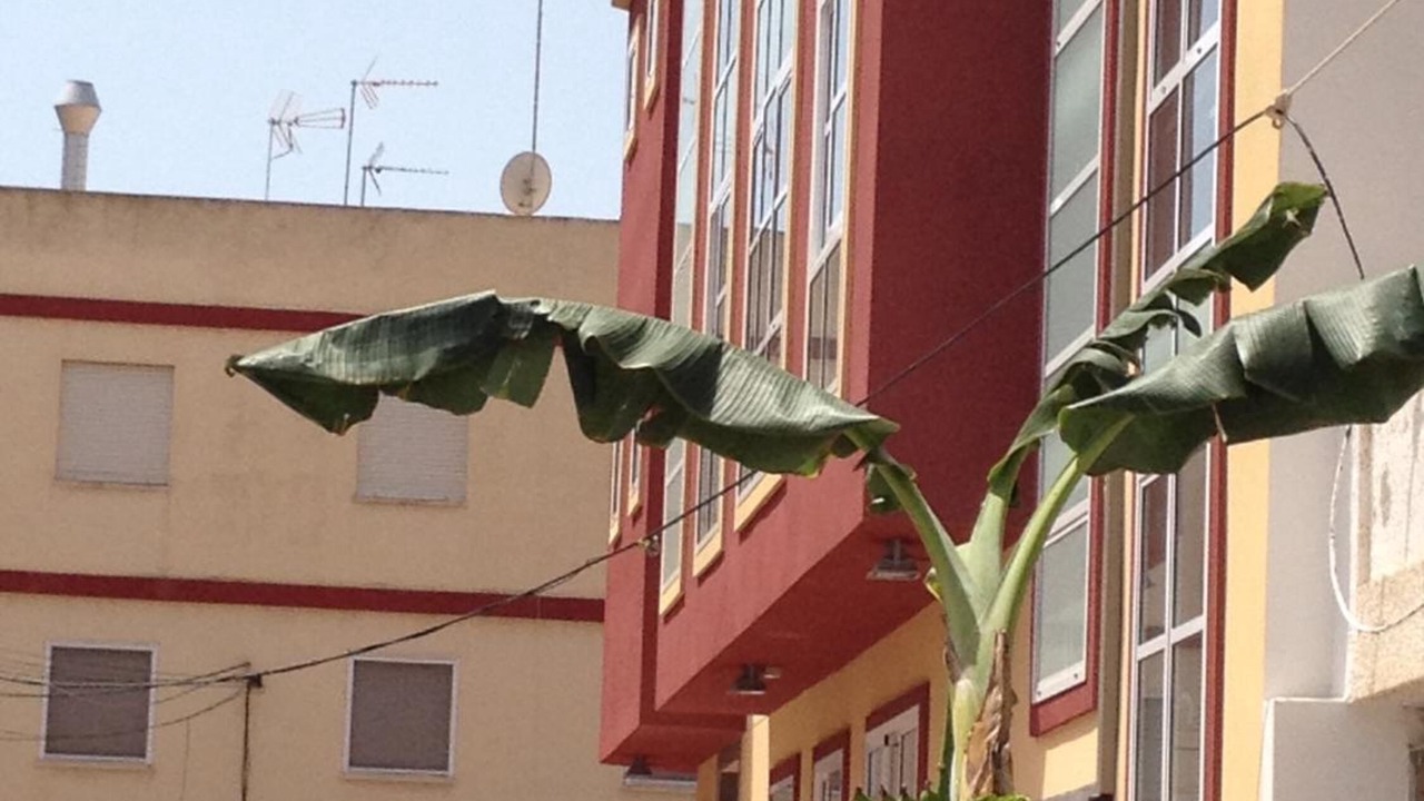 Photo of Outdoor in Los Cuarteros
