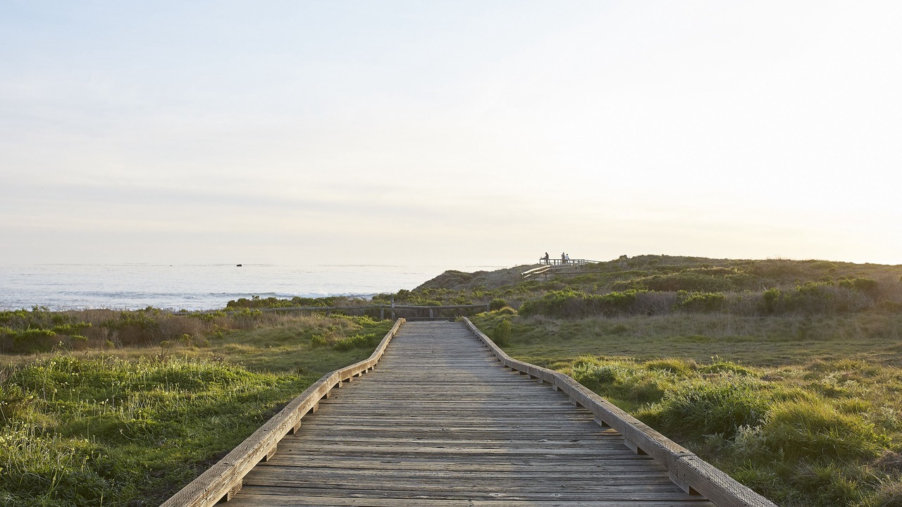 Photo of Outdoor in San Simeon