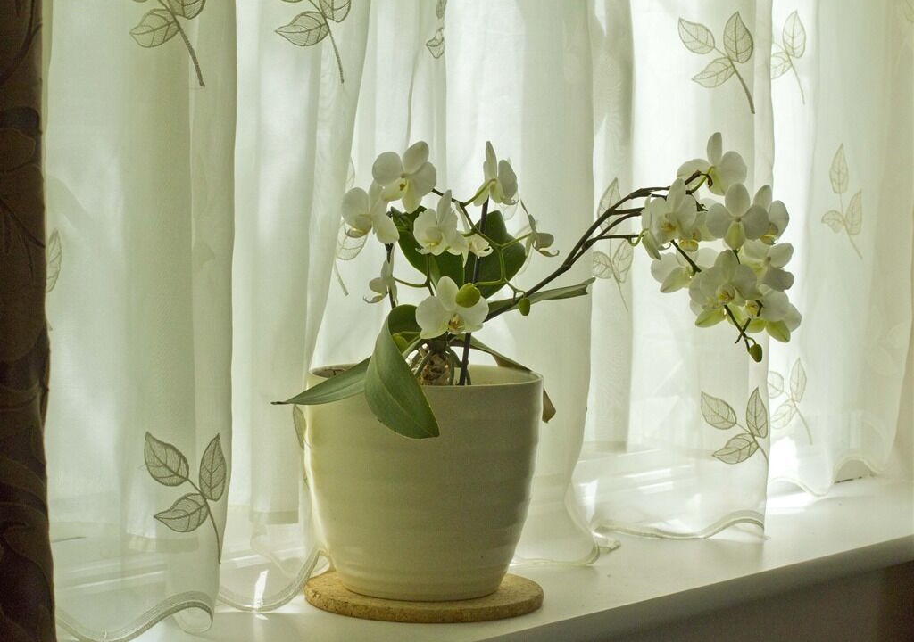 Photo of Outdoor in Barns Green