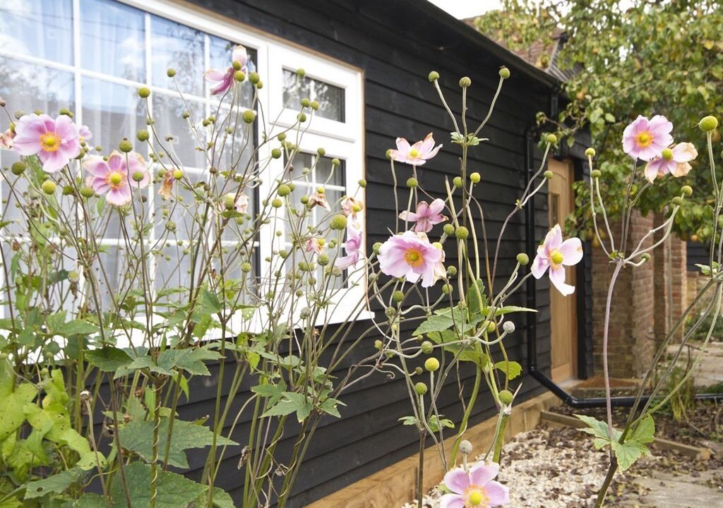 Photo of Outdoor in Barns Green