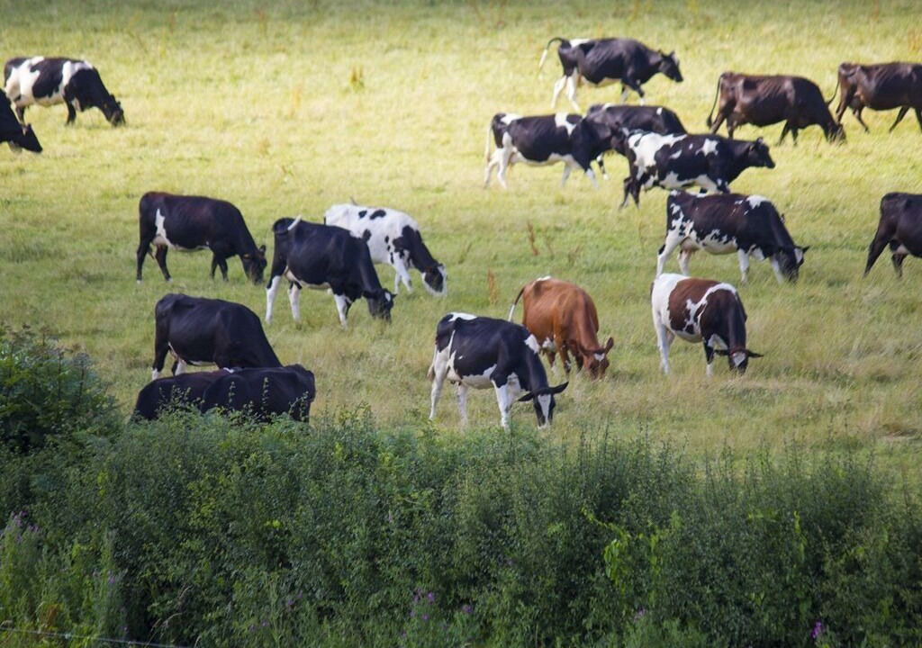Photo of Outdoor in Barns Green