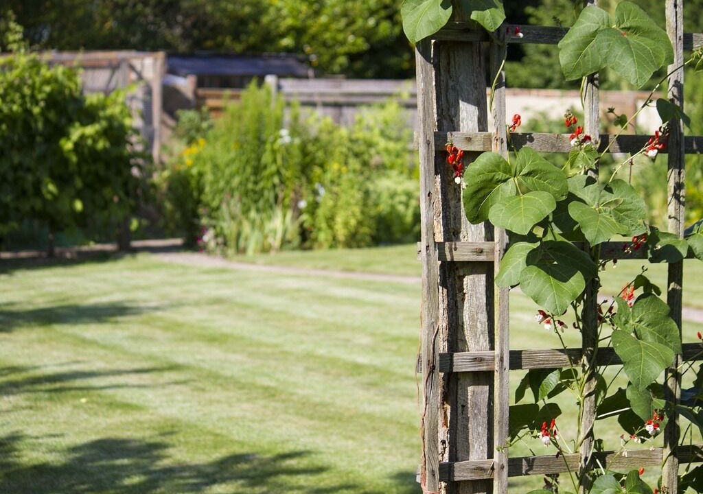 Photo of Outdoor in Barns Green