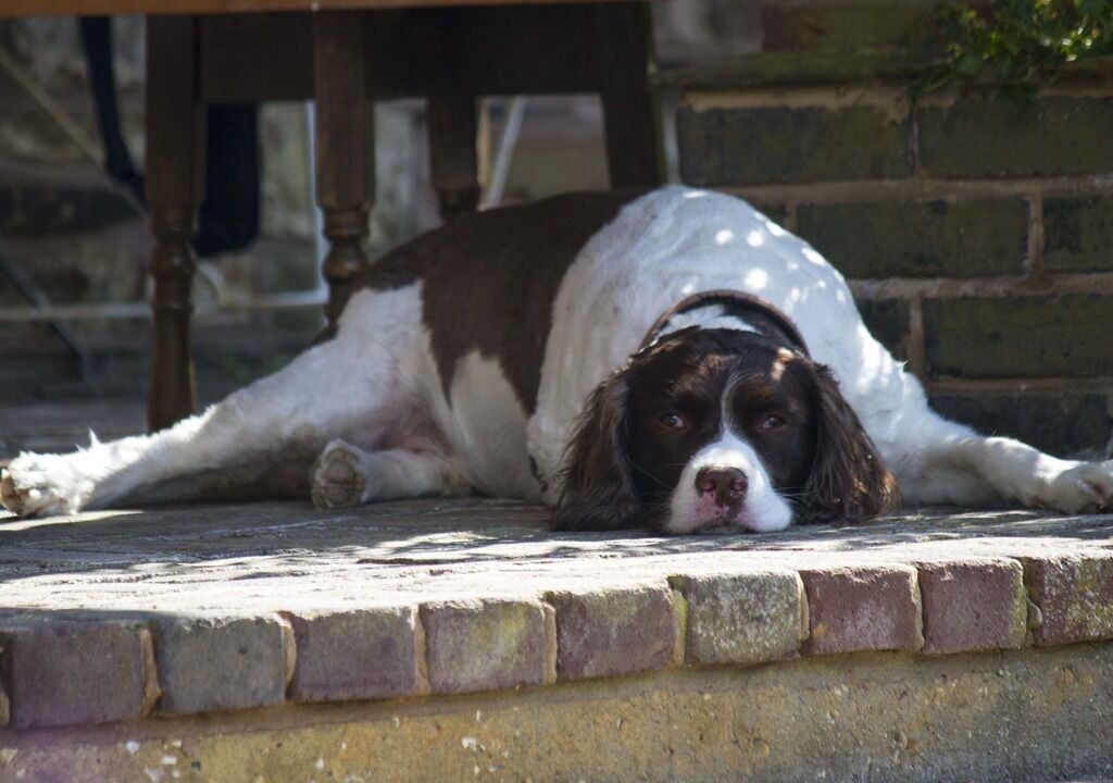 Photo of Outdoor in Barns Green