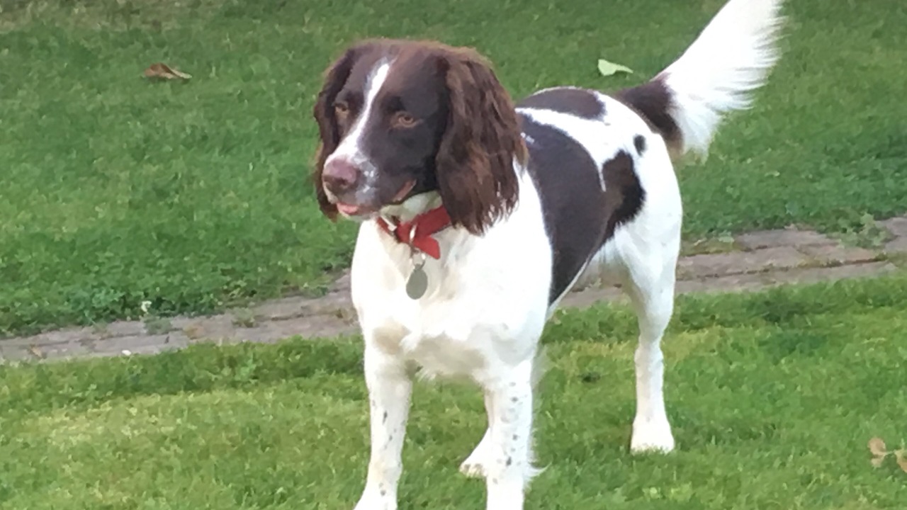 Photo of Others in Barns Green