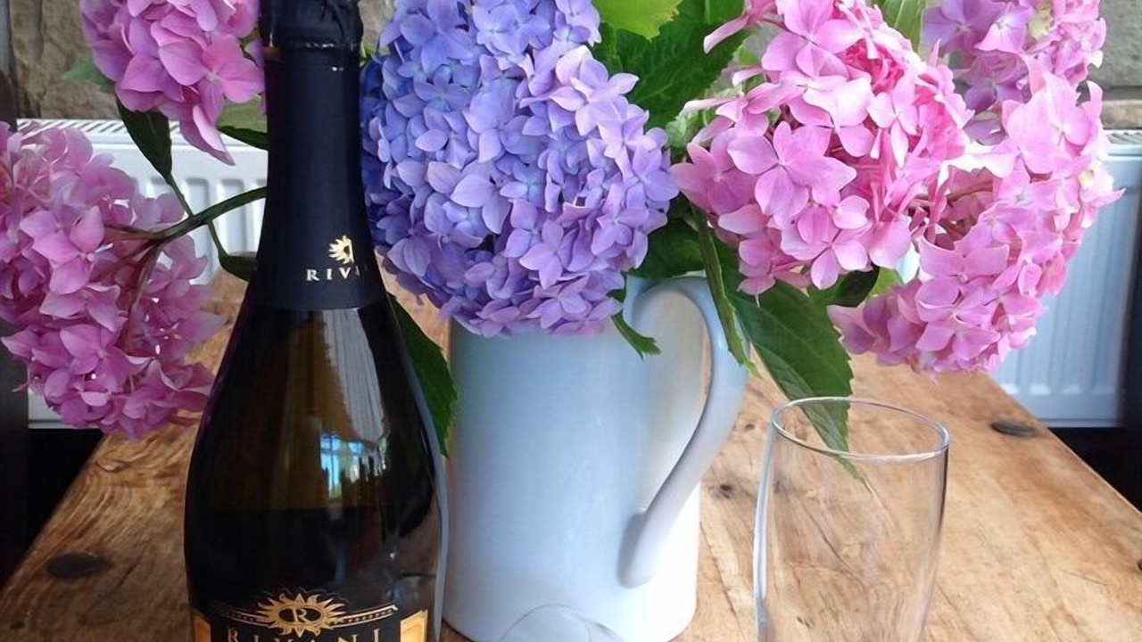 Photo of Others in Fence