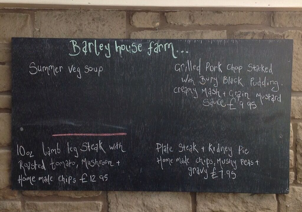 Photo of Others in Fence