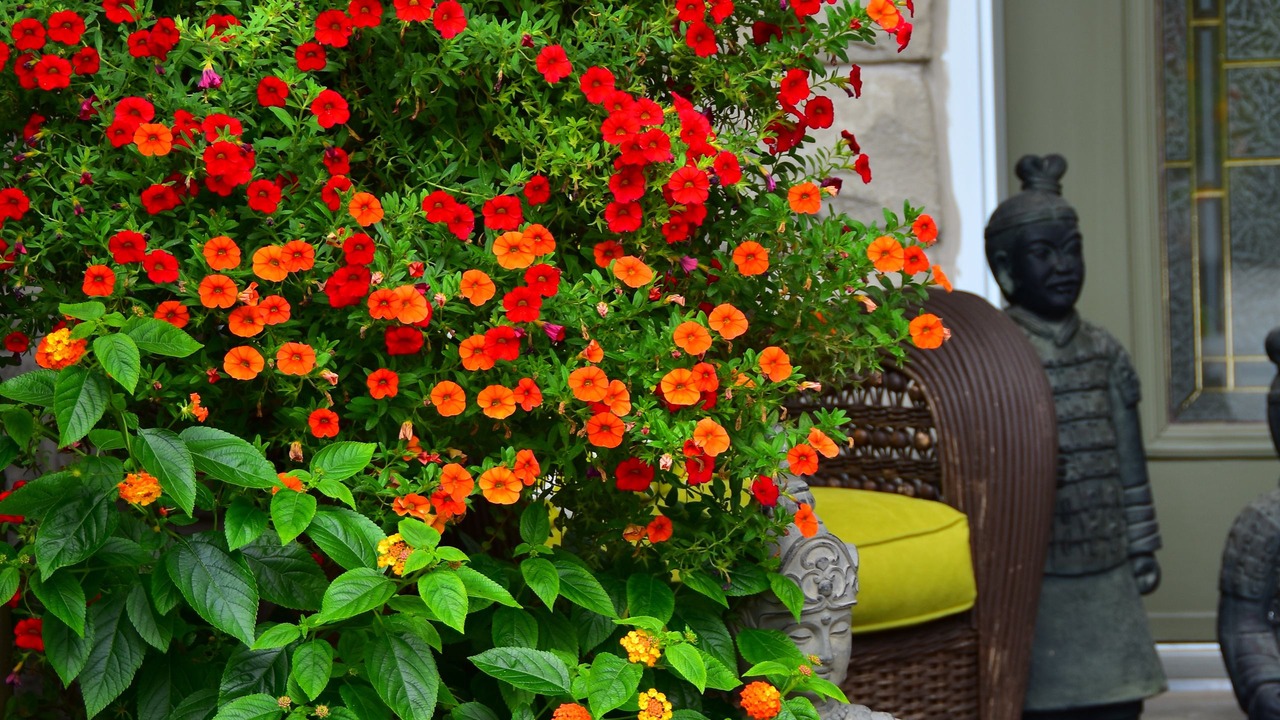 Photo of Outdoor in Historic Old Town