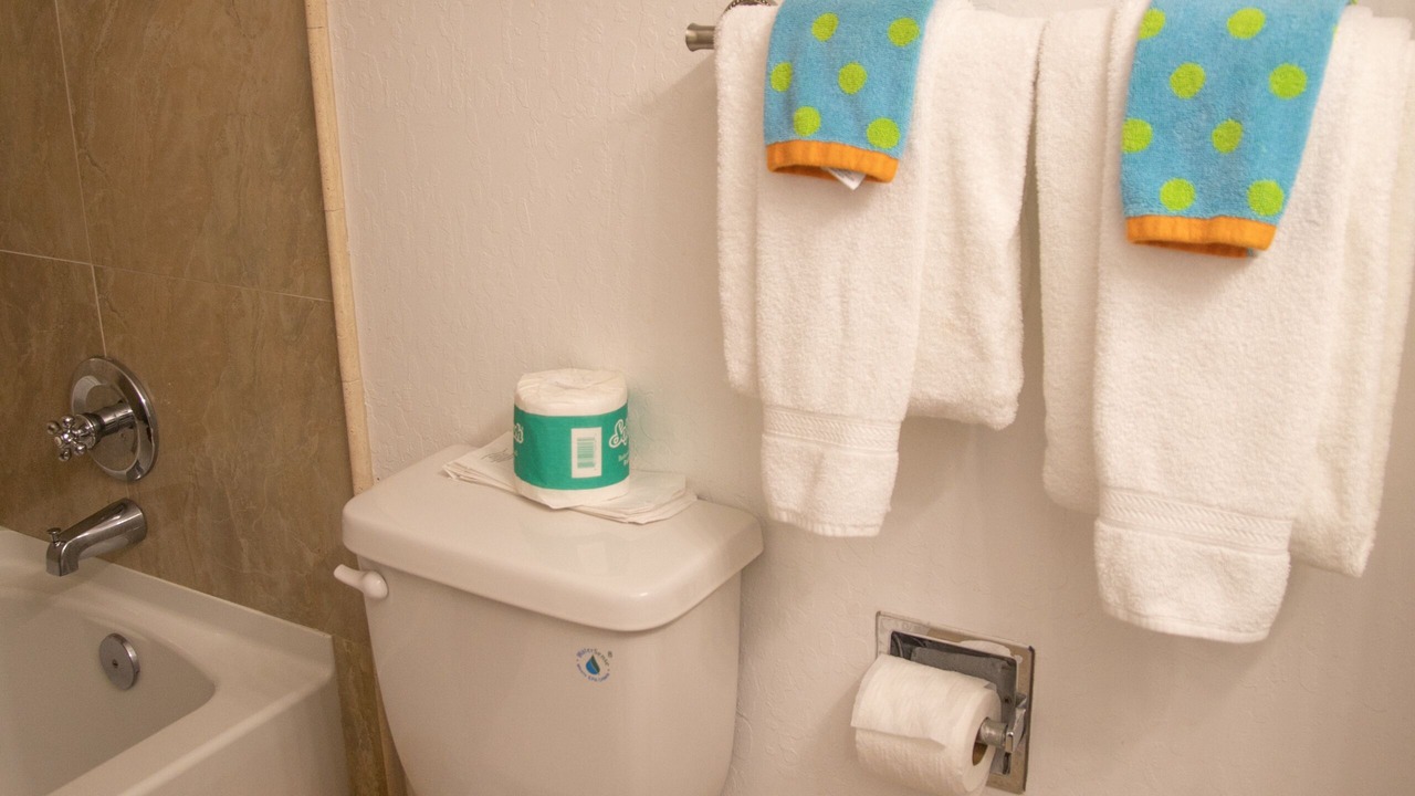 Photo of Bathroom in Strawberry