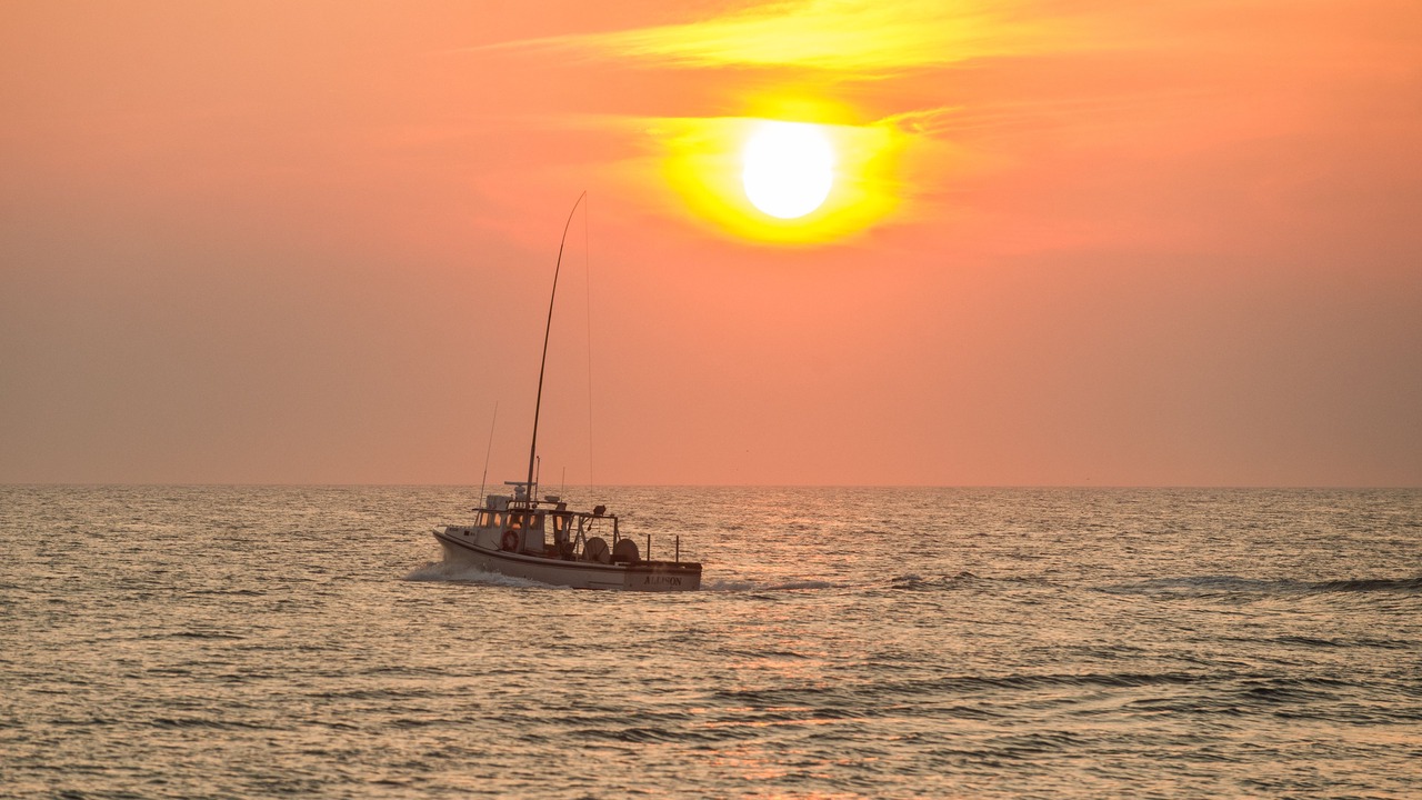 Photo of Others in West Ocean City