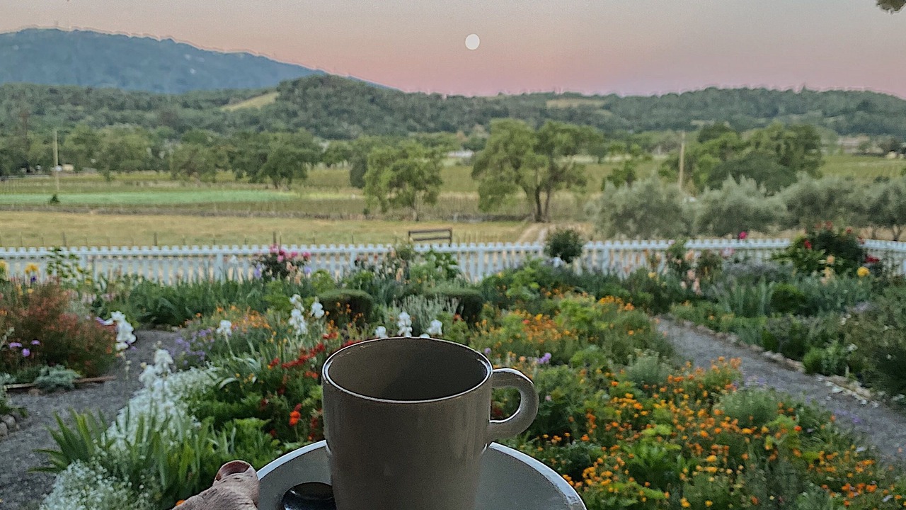 Photo of Livingroom in Glen Ellen